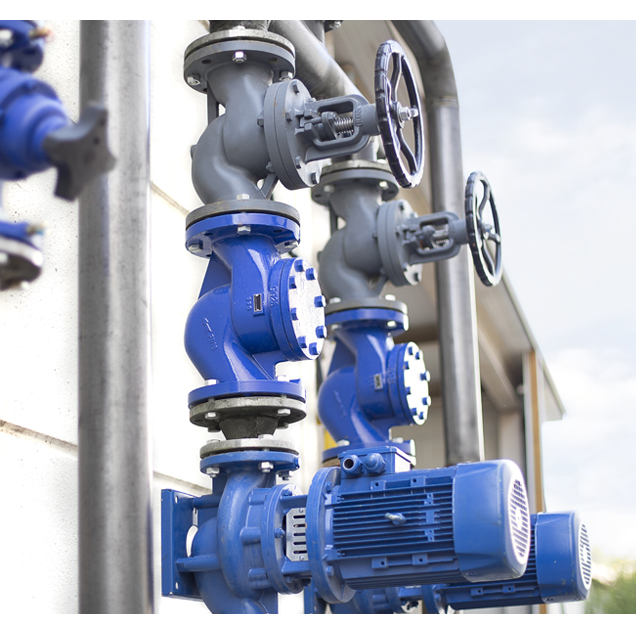 gate globe check valves